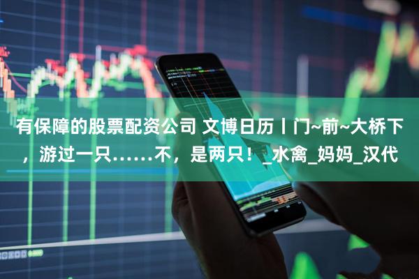有保障的股票配资公司 文博日历丨门~前~大桥下，游过一只……不，是两只！_水禽_妈妈_汉代