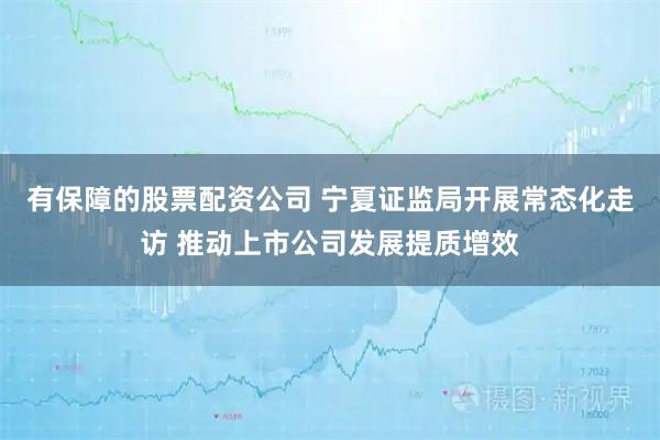 有保障的股票配资公司 宁夏证监局开展常态化走访 推动上市公司发展提质增效